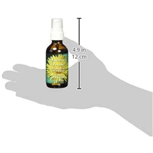 Dandelion Dynamo Oil by Flower Essence Services – Emotional Support & Vitality, 2 oz - görsel 4