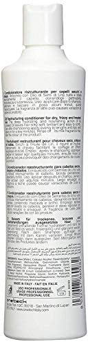 Fanola Restructuring Hair Conditioner – Hydrating & Nourishing Conditioner with Argan and Linseed Oil for Dry, Damaged Hair – Anti-Frizz, Repairing Formula – 33.8 Fl Oz Avelisse