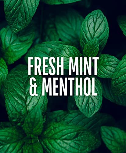 GO247 Mint Thickening Shampoo – Energizing Daily Cleanser with Peppermint & Menthol – Helps Support Fuller, Thicker-Looking Hair – Fresh Mint Scent, 8 Fl Oz Avelisse