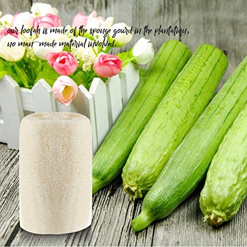 MAYMII·HOME 100% Natural Organic Loofahs - 6 Pack, Large 5-Inch Length, Exfoliating Body Scrubber for Spa-Quality Cleansing Avelisse
