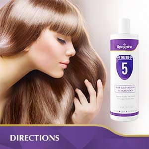 Lipogaine Big 5 Hair Stimulating Shampoo – Biotin, Caffeine, Argan Oil, Castor Oil & Saw Palmetto for Hair Thinning & Breakage – Men and Women – Purple Avelisse