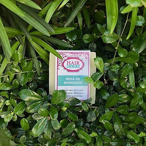 Hair Plus JABÓN ROSA DE MOSQUETA – Rosehip Soap 4.5 Oz - görsel 5