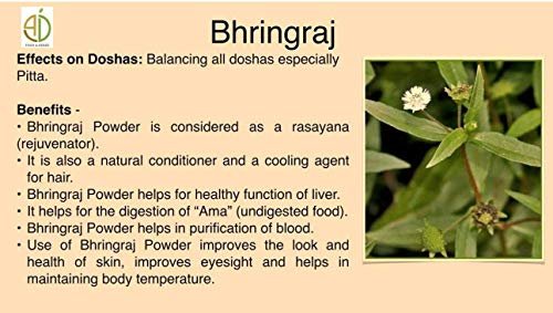 Herbs Botanica Organic Bhringraj Powder – Eclipta Alba False Daisy for Natural Hair Nourishment (5.3 oz / 150 gms) Avelisse