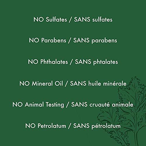 SheaMoisture Power Greens Curly Hair Shampoo and Conditioner Set with Moringa & Avocado, 13 oz Each (Pack of 2) - Moisturizing for Dry Hair Avelisse