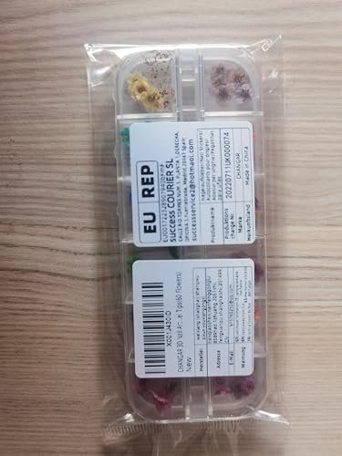 Mini Real Natural Dried Flowers for Nail Art - CHANGAR Five Petal Flower Decals, Resin Nail Art Supplies, Multicolor - görsel 10