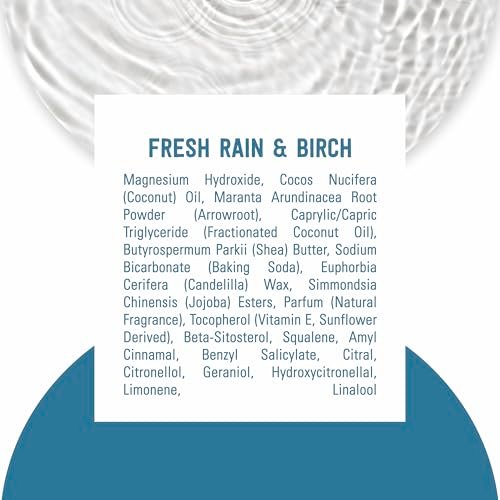 Schmidt's Aluminum-Free Vegan Deodorant Fresh Rain & Birch – 24 Hour Odor Protection, Natural Ingredients, Cruelty-Free, 2.65 oz - görsel 14