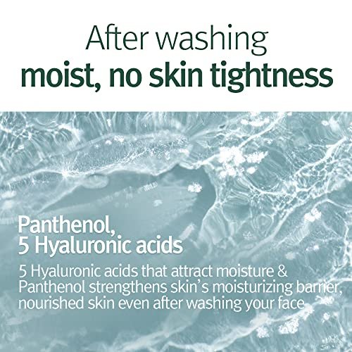 Pyunkang Yul Calming Cleansing Foam - Low pH Facial Wash with Witch Hazel, AHA, Cica & Tea Tree Extract for Oil Control, 3.38 Fl Oz Avelisse