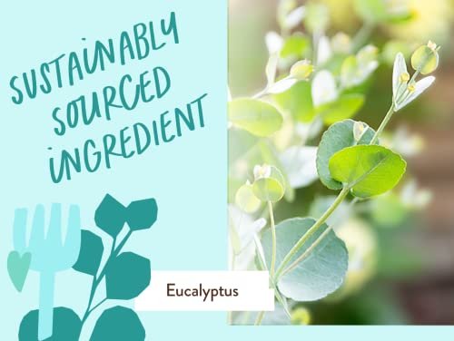 Babo Botanicals Eucalyptus Remedy Shampoo & Wash - Invigorating Eucalyptus & Rosemary Essential Oils - EWG Verified - Vegan & Cruelty Free - 16 Fl Oz Avelisse