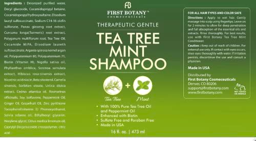 First Botany Tea Tree Oil Shampoo 16 fl oz - Anti Dandruff & Natural Scalp Cleanser for Dry, Itchy, Flaky Scalp - Sulfate Free, Paraben Free - Prevents Head Lice & Thinning Avelisse