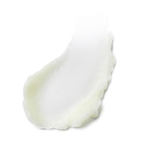 Estée Lauder Advanced Night Cleansing Balm Cleanser with Lipid-Rich Oil Infusion | Makeup + Sunscreen Remover, 2.2 Fl Oz Avelisse