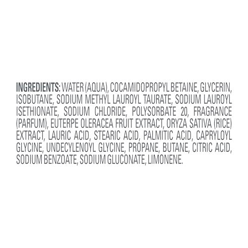 Dove Whipped Shower Foam Rice Milk & Velvet Açaí – Hydrating Body Wash for Soft Skin, 10.3 Fl Oz Avelisse