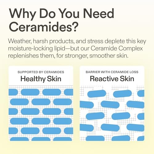 Skinfix Ceramide Prime Whipped Cream - Lightweight Face Moisturizer with Niacinamide & Peptides - 1.7 oz, Fragrance Free, Vegan & Cruelty Free Avelisse