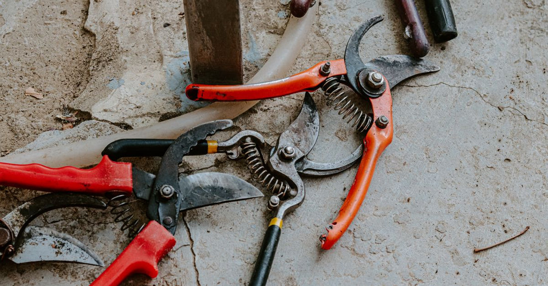 Professional hair shears resting on a white marble surface, illustrating a shears buying guide UK