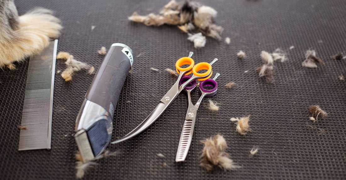 Best beard & mustache trimmers 2026 displayed on a clean white surface with comb attachments and charging cable.