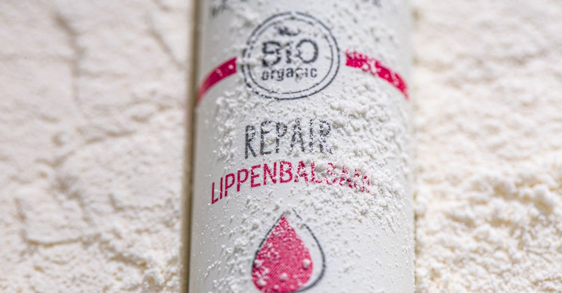 A selection of the best lip balm for dry lips arranged on a clean surface, including tubes and pots with natural ingredients.