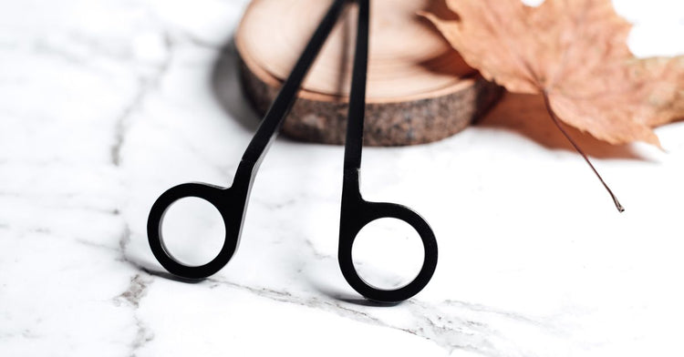 Dial Hs Code Best Shears UK 2026: The Science Behind a Perfect Cut | Avelisse