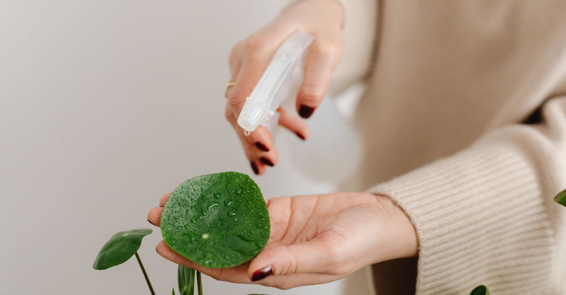 Face mists buying guide featuring a clear glass bottle of hydrating face mist on a marble surface with water droplets.