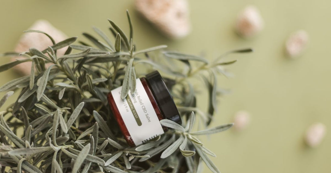 A clean flatlay of aftercare products including a spray, balm, and healing ointment on a white marble surface, illustrating our aftercare products buying guide.