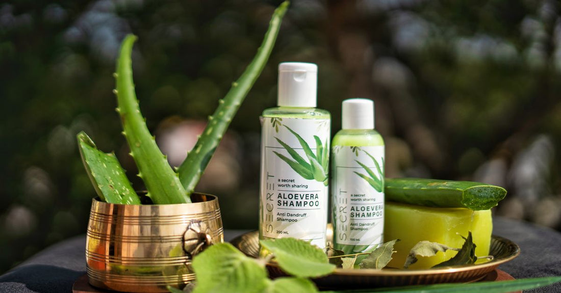 A soothing aloe vera gel bottle, a key product in any after sun buying guide, sits on a light surface.