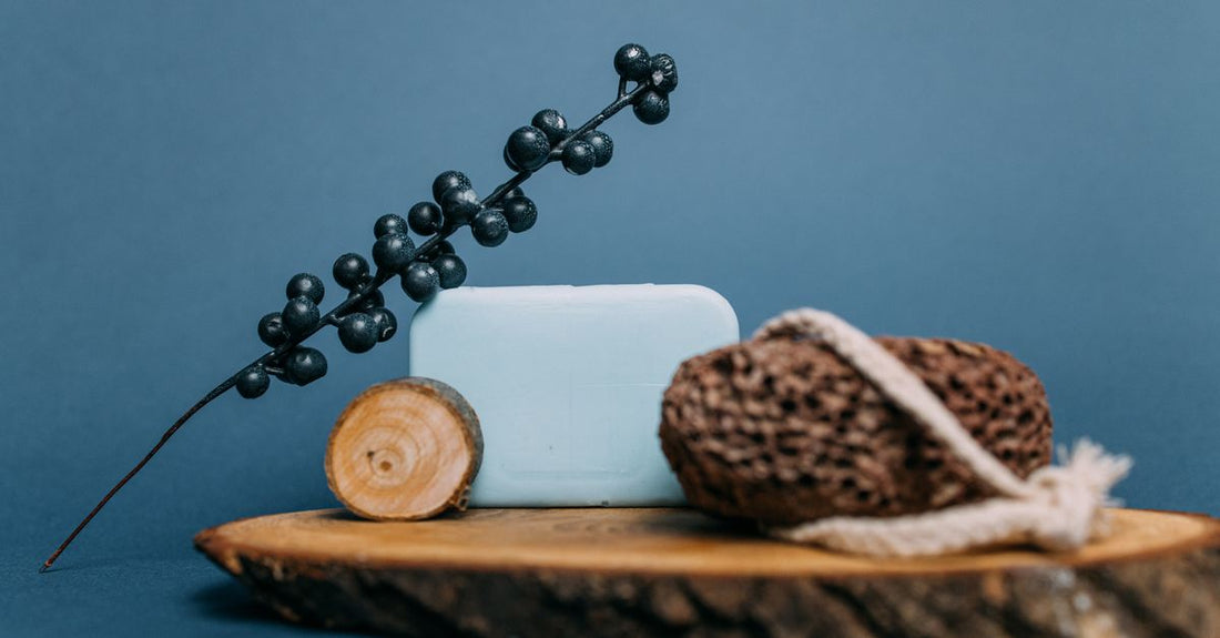 A selection of natural and exfoliating bath sponges on a clean white background, illustrating a bath sponges buying guide