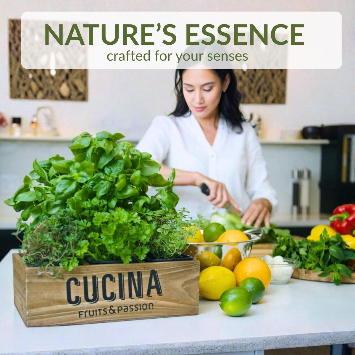 Cucina Coriander and Olive Tree 33.8 oz Purifying Hand Wash Refill Avelisse