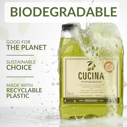 Cucina Coriander and Olive Tree 33.8 oz Purifying Hand Wash Refill Avelisse