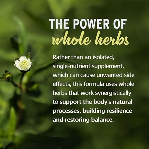 Banyan Botanicals Organic Healthy Hair Supplement – Bhringaraj, Amla & Brahmi for Thickness, Shine & Scalp Health – 90 Tablets Avelisse