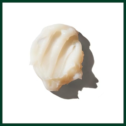 Aveda Brilliant Anti-Humectant Pomade – – Nourishing Ingredients: Castor oil and rice bran deeply condition hair, – Image 14