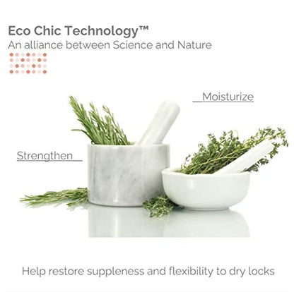 GIOVANNI Eco Chic 50:50 Balanced Hydrating Calming Conditioner - pH Balanced for Over-Processed Hair, Sulfate-Free, Paraben-Free, Color Safe - 8.5 oz Avelisse