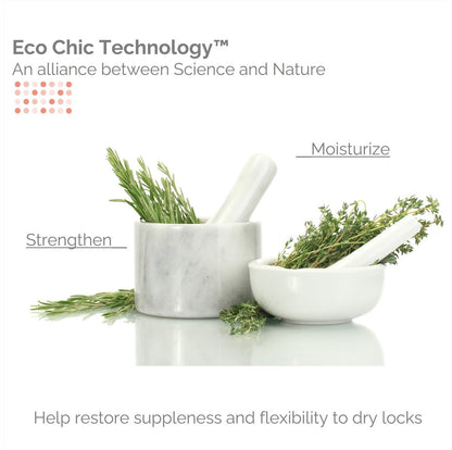 GIOVANNI Eco Chic 50:50 Balanced Hydrating Calming Conditioner - pH Balanced for Over-Processed Hair, Sulfate-Free, Paraben-Free, Color Safe - 8.5 oz Avelisse