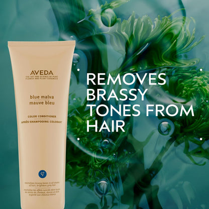 Aveda Blue Malva Color Conditioner - Purple Conditioner for Silver, Gray & Blonde Hair - Neutralizes Brassiness - Deeply Conditions - 8.5 fl oz Avelisse