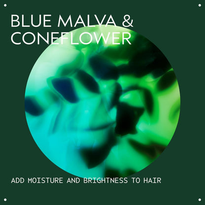 Aveda Blue Malva Color Conditioner - Purple Conditioner for Silver, Gray & Blonde Hair - Neutralizes Brassiness - Deeply Conditions - 8.5 fl oz Avelisse