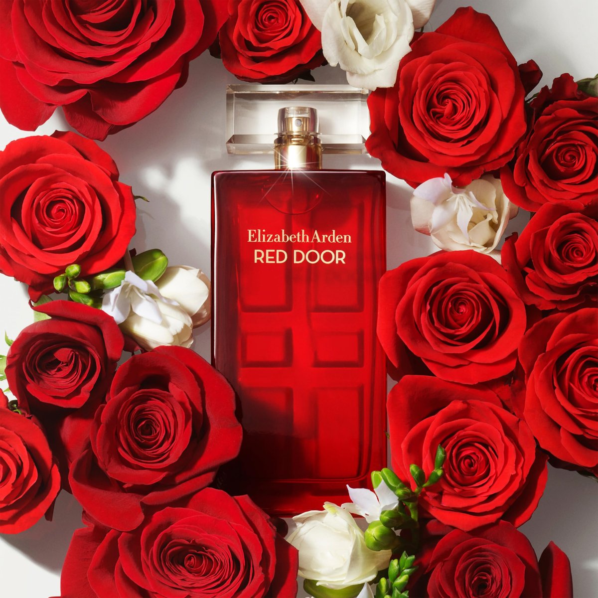 Elizabeth Arden Red Door Eau de Toilette for Women - 3.3 Fl Oz Floral Fragrance with Freesia, Rose, and Sandalwood Avelisse