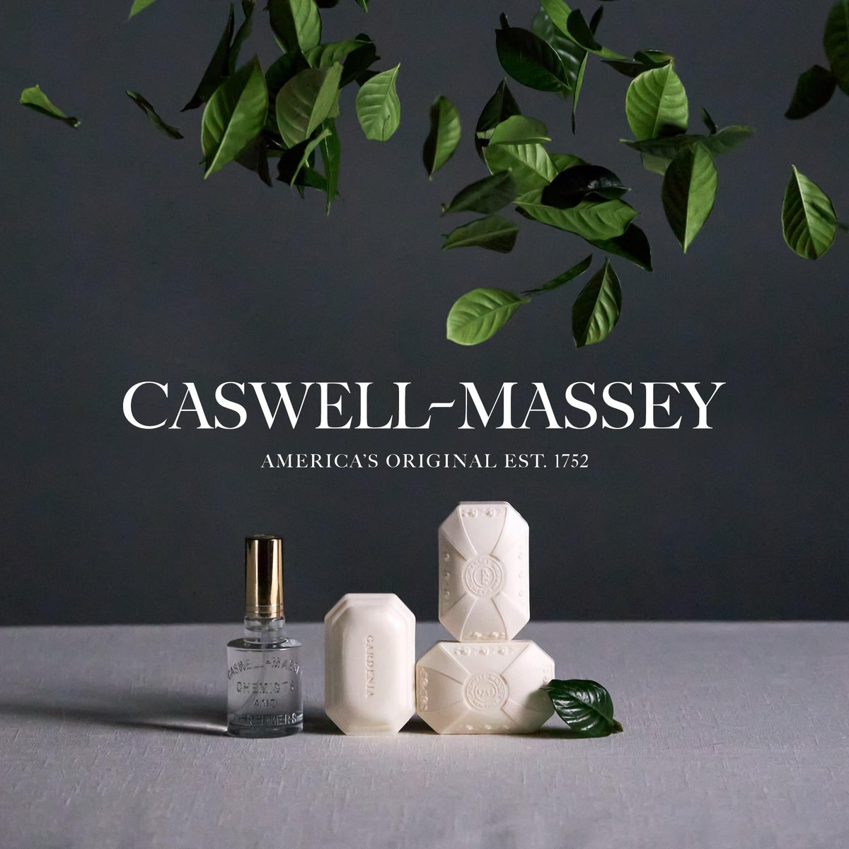 Caswell-Massey Diamond Dust Nail File - Professional Washable Nail Buffer, Polished Steel, Long-Lasting, 7 Inch Avelisse