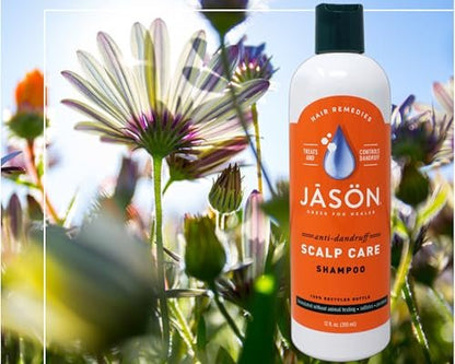 JASON Dandruff Relief Treatment Shampoo, 12 oz (Pack of 2) - Natural Anti-Dandruff Shampoo with Salicylic Acid & Sulfur Avelisse