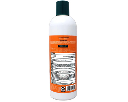 JASON Dandruff Relief Treatment Shampoo, 12 oz (Pack of 2) - Natural Anti-Dandruff Shampoo with Salicylic Acid & Sulfur Avelisse