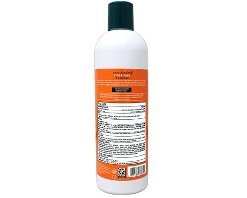 JASON Dandruff Relief Treatment Shampoo, 12 oz (Pack of 2) - Natural Anti-Dandruff Shampoo with Salicylic Acid & Sulfur Avelisse