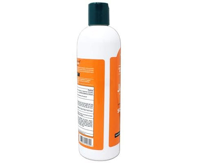 JASON Dandruff Relief Treatment Shampoo, 12 oz (Pack of 2) - Natural Anti-Dandruff Shampoo with Salicylic Acid & Sulfur Avelisse