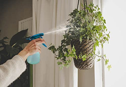 Rayson Empty Spray Bottle - 8 oz Fine Mist Trigger Sprayer for Hair Styling, Plants, Pets (Green) Avelisse