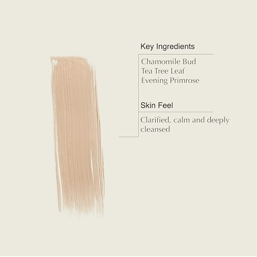 Aesop Chamomile Concentrate Anti-Blemish Masque | Clarifying Clay Mask with Chamomile, Tea Tree & Evening Primrose | 60 mL - görsel 6