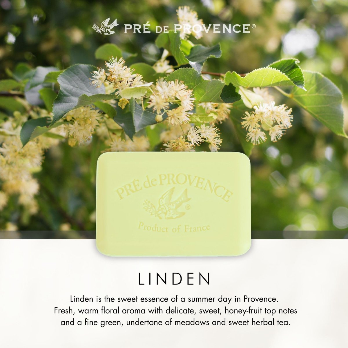 Pre de Provence Artisanal Soap Bar – Linden – Natural French Skincare with Organic Shea Butter – 5.3 oz - görsel 13