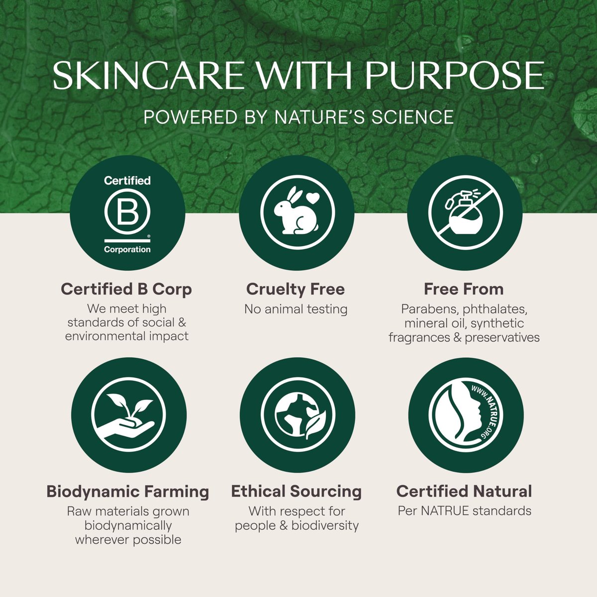 Weleda Skin Food Face Care Nourishing Oil-to-Milk Cleanser - 2.5 fl oz - Plant Rich Cleanser with Sunflower Seed Oil, Chamomile & Pansy Avelisse