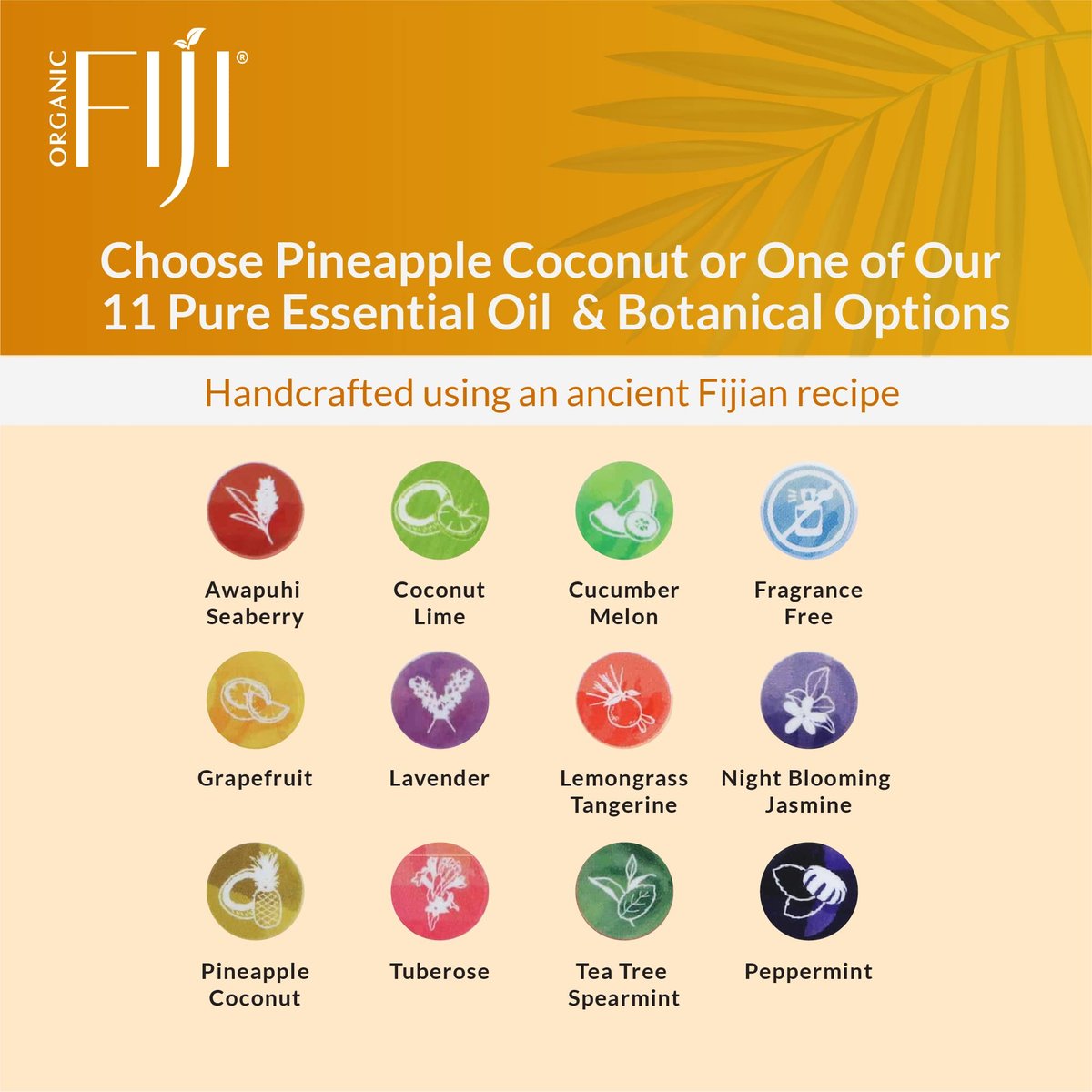 Organic Fiji Coco Fiji Soap Bar for Face and Body – Infused with Organic Coconut Oil & Pineapple Coconut Essential Oil – Natural Moisturizing & Pore Purifying Soap, 7 oz, Pack of 2 - görsel 15