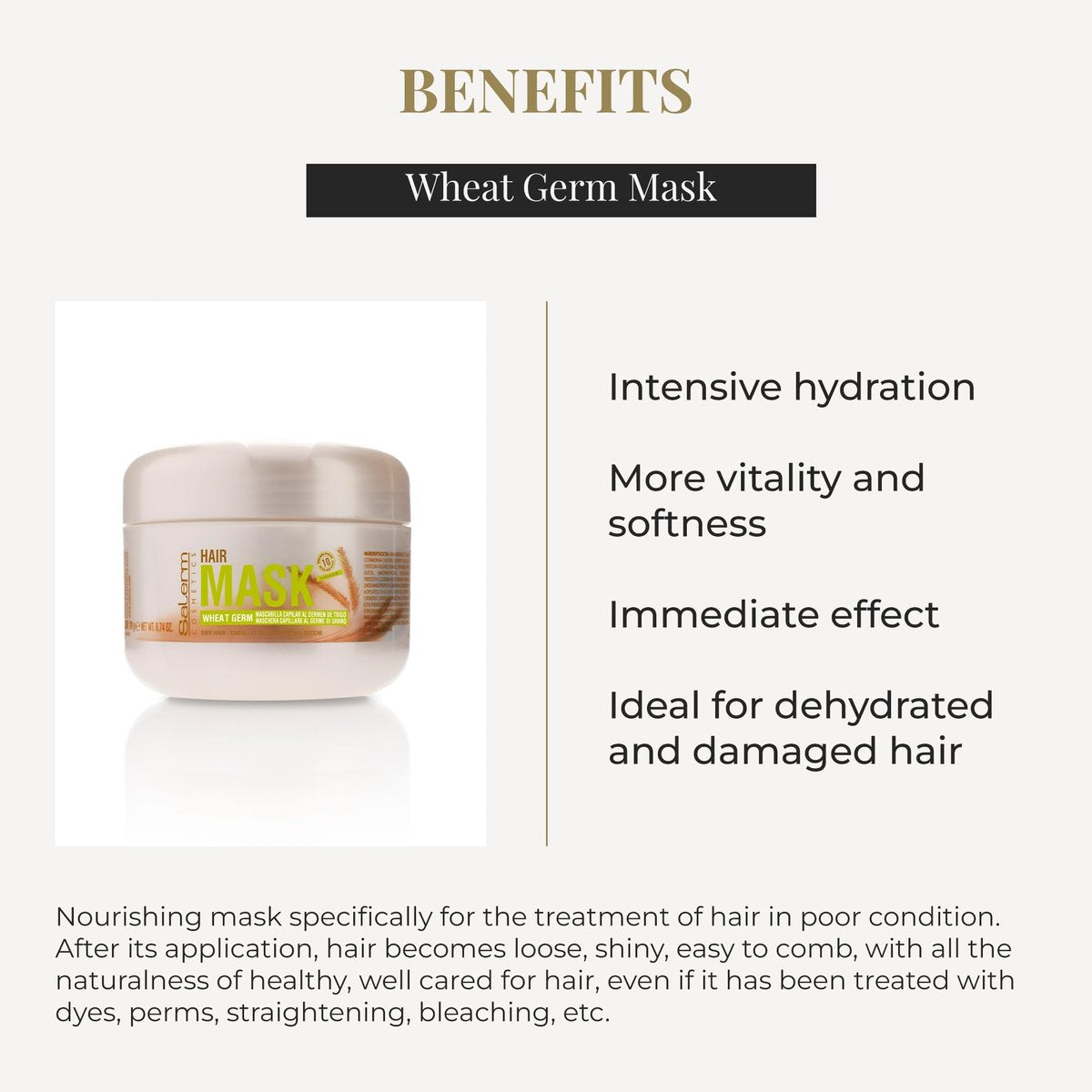SALERM Nourishing Hair Mask with Wheat Germ – Deep Hydration for Dry & Damaged Hair, 6.74 oz Avelisse