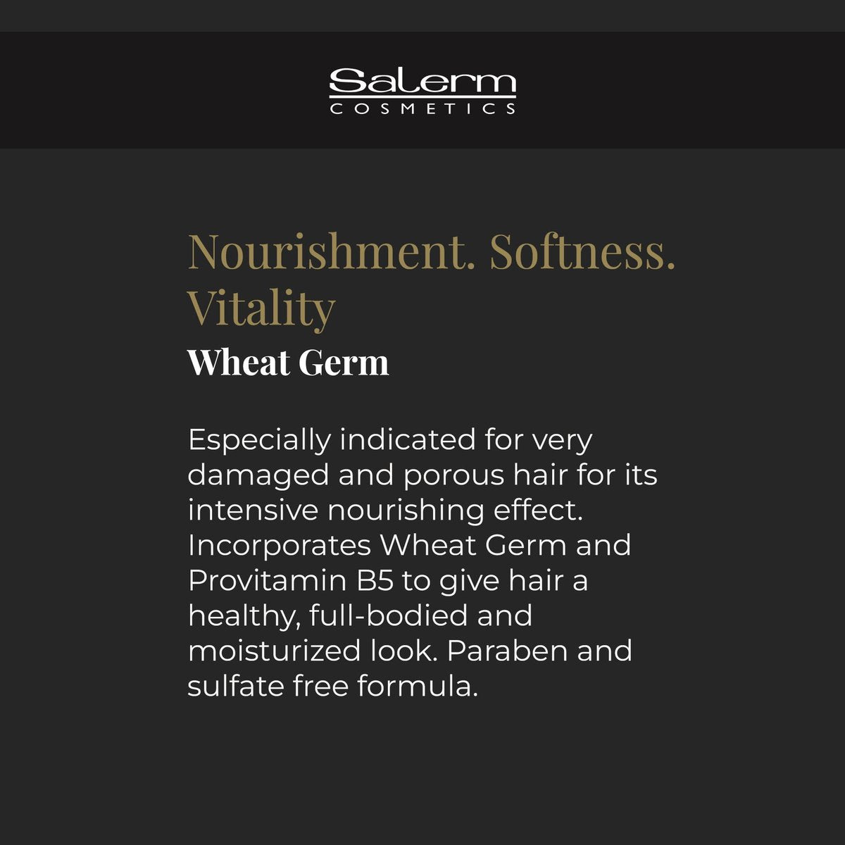 SALERM Nourishing Hair Mask with Wheat Germ – Deep Hydration for Dry & Damaged Hair, 6.74 oz Avelisse