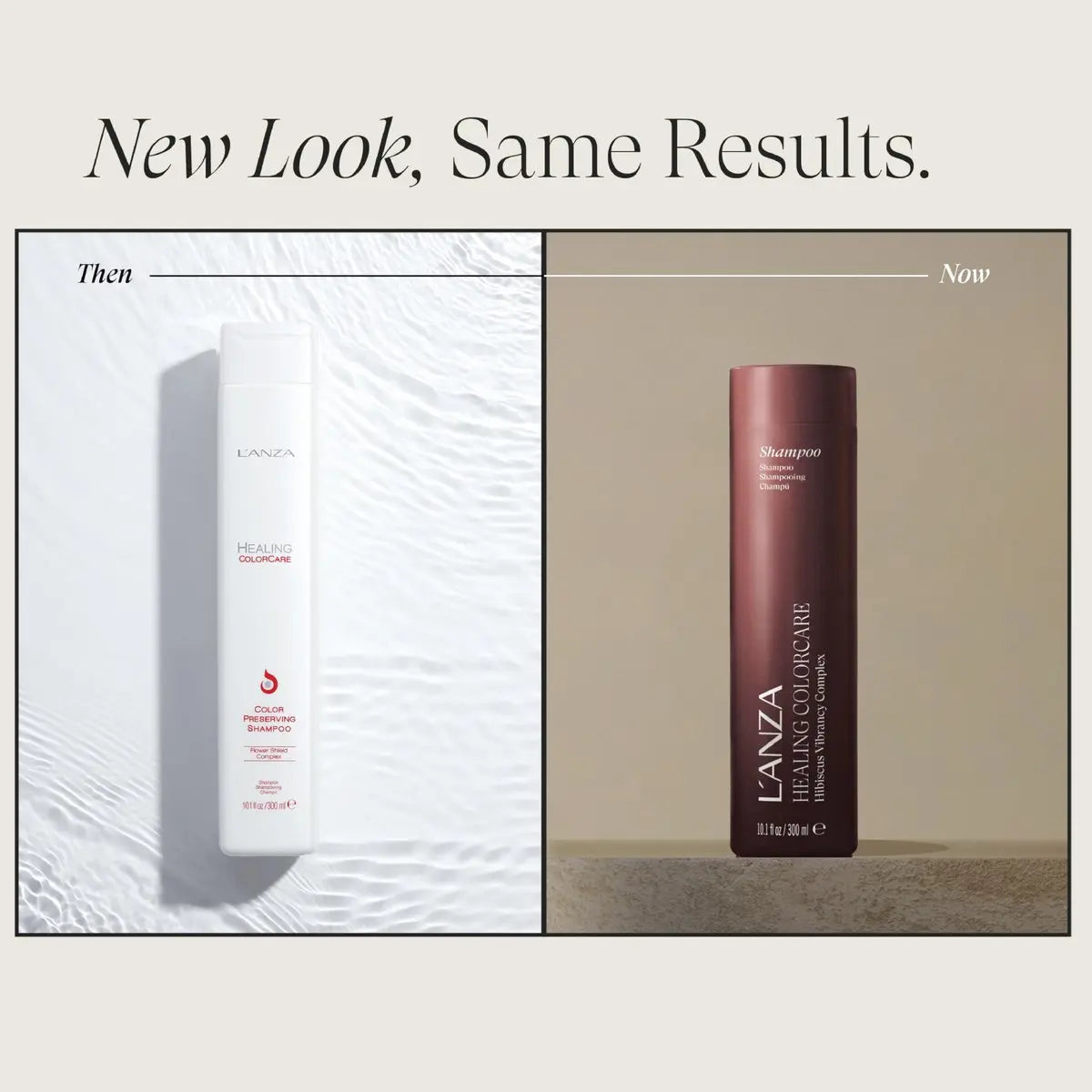 L'ANZA Healing Colorcare Shampoo – Color-Safe Repairing Cleanse for Dry, Damaged or Treated Hair, Sulfate Free, Anti-Fade Formula (10.1 Fl Oz) Avelisse