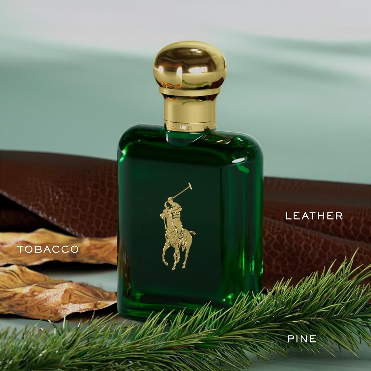 Polo Men's Deodorant by Ralph Lauren Fragrances – Woody & Spicy, Alcohol-Free, Long Lasting, 2.6 oz Avelisse