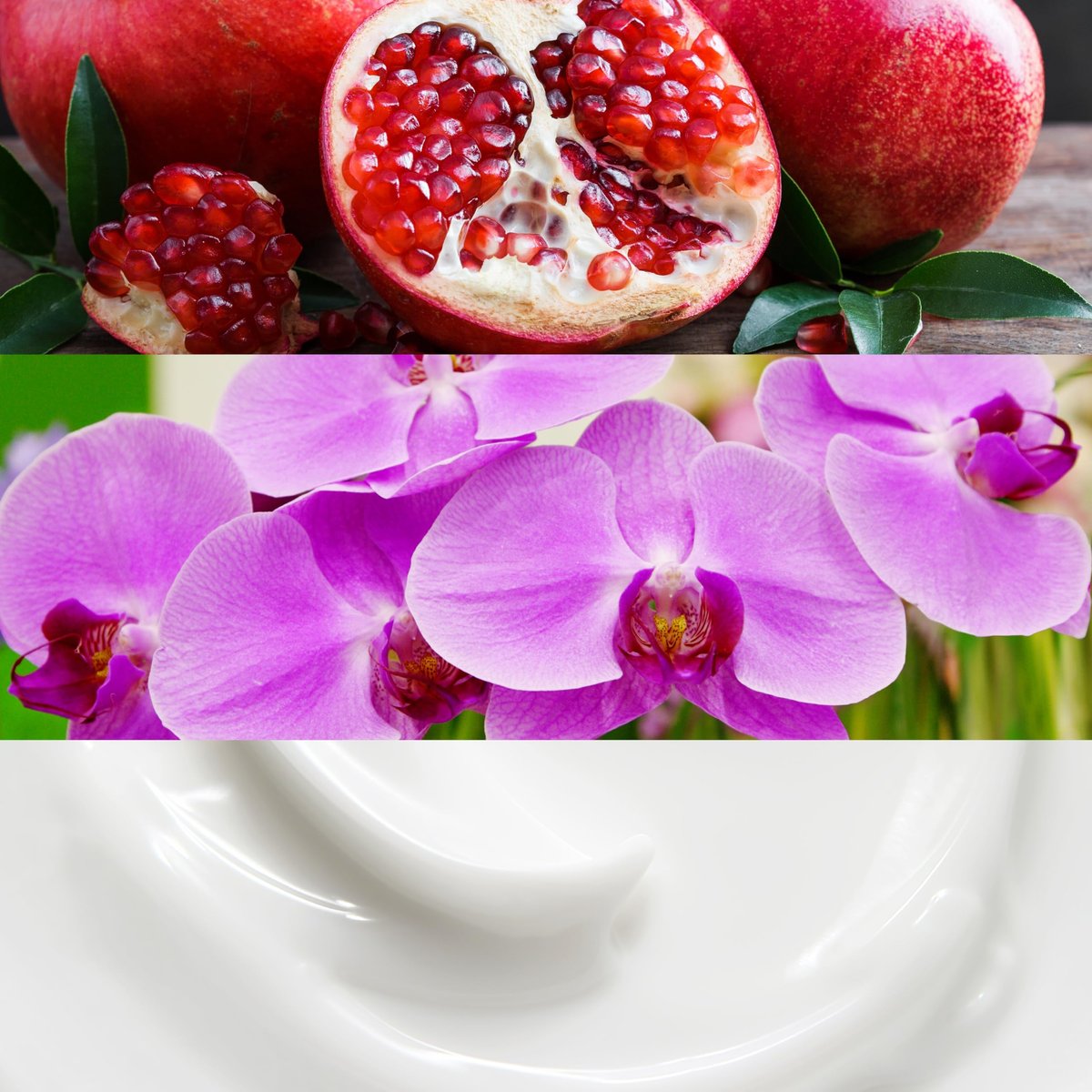 Calvin Klein Euphoria Body Lotion – Pomegranate, Black Orchid & Mahogany Wood, 6.7 fl oz Avelisse