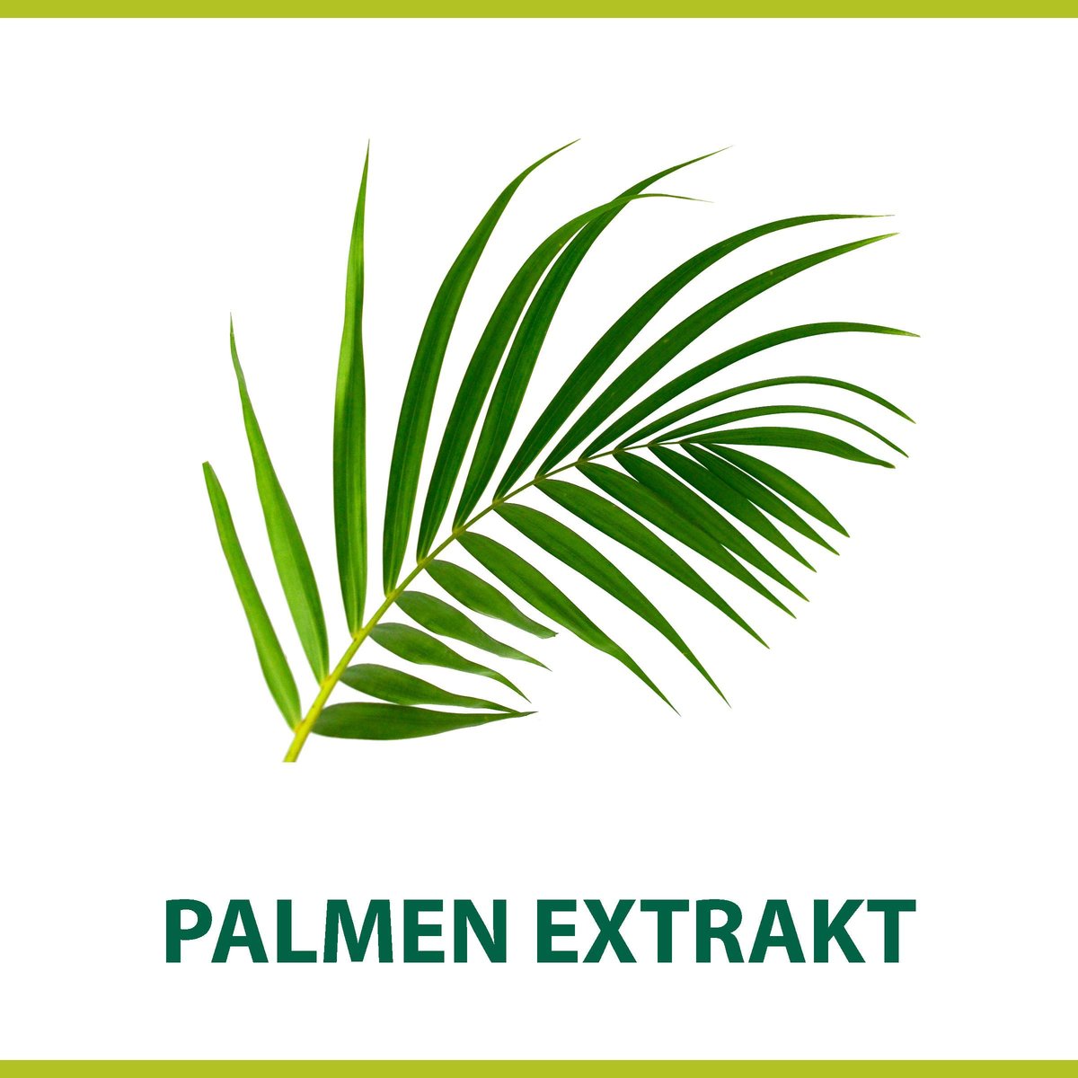 Palmolive For Men Classic Palm Extract Shave Cream – 100ml (3.4 Fl Oz) - görsel 3
