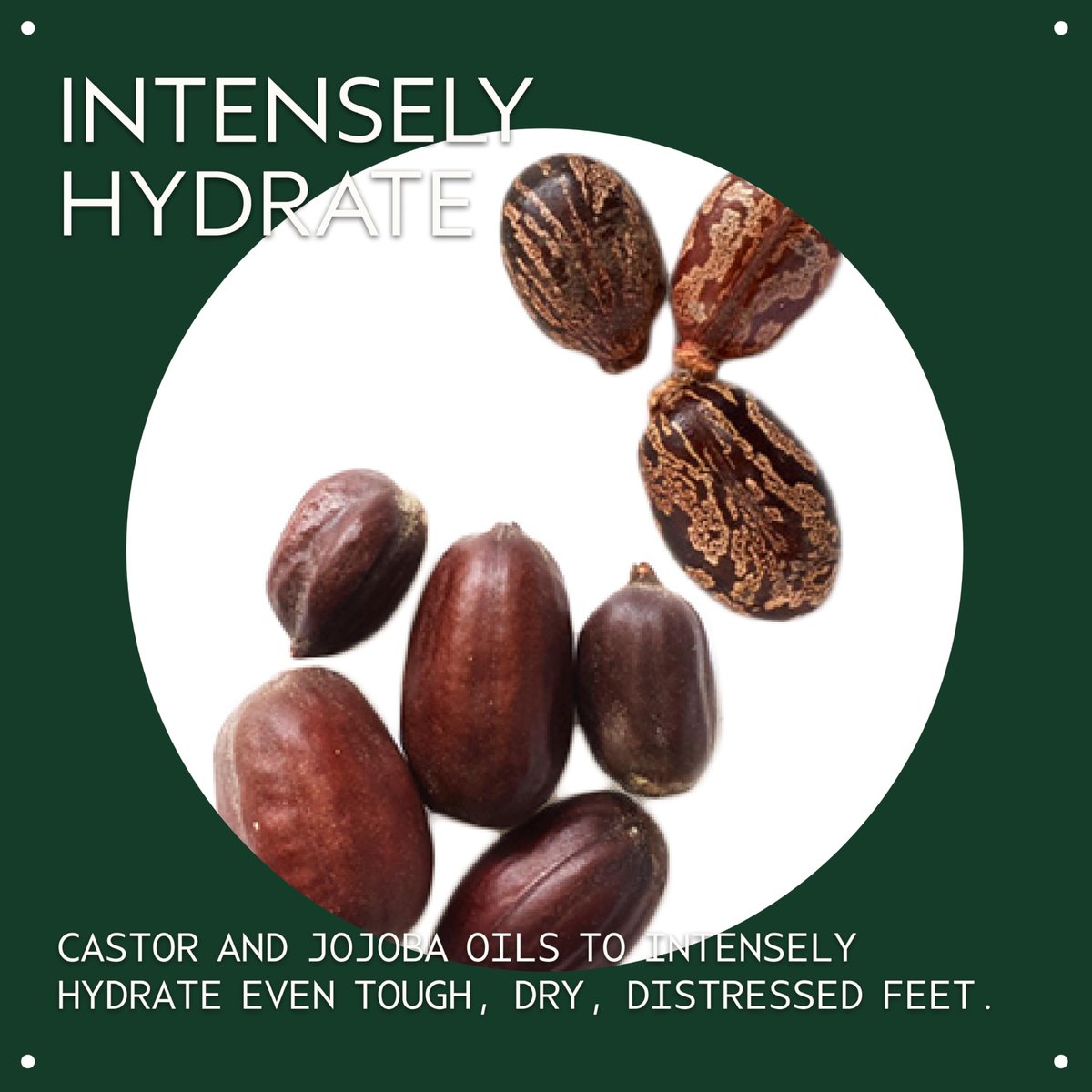 Aveda Foot Relief Moisturizing Creme – Exfoliates, Softens & Smooths Dry Feet with Jojoba, Peppermint, Tea Tree & Castor Oils, 4.2 oz Avelisse